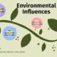 Influence On The Environment