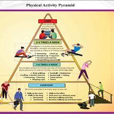 The Physical Activity Pyramid